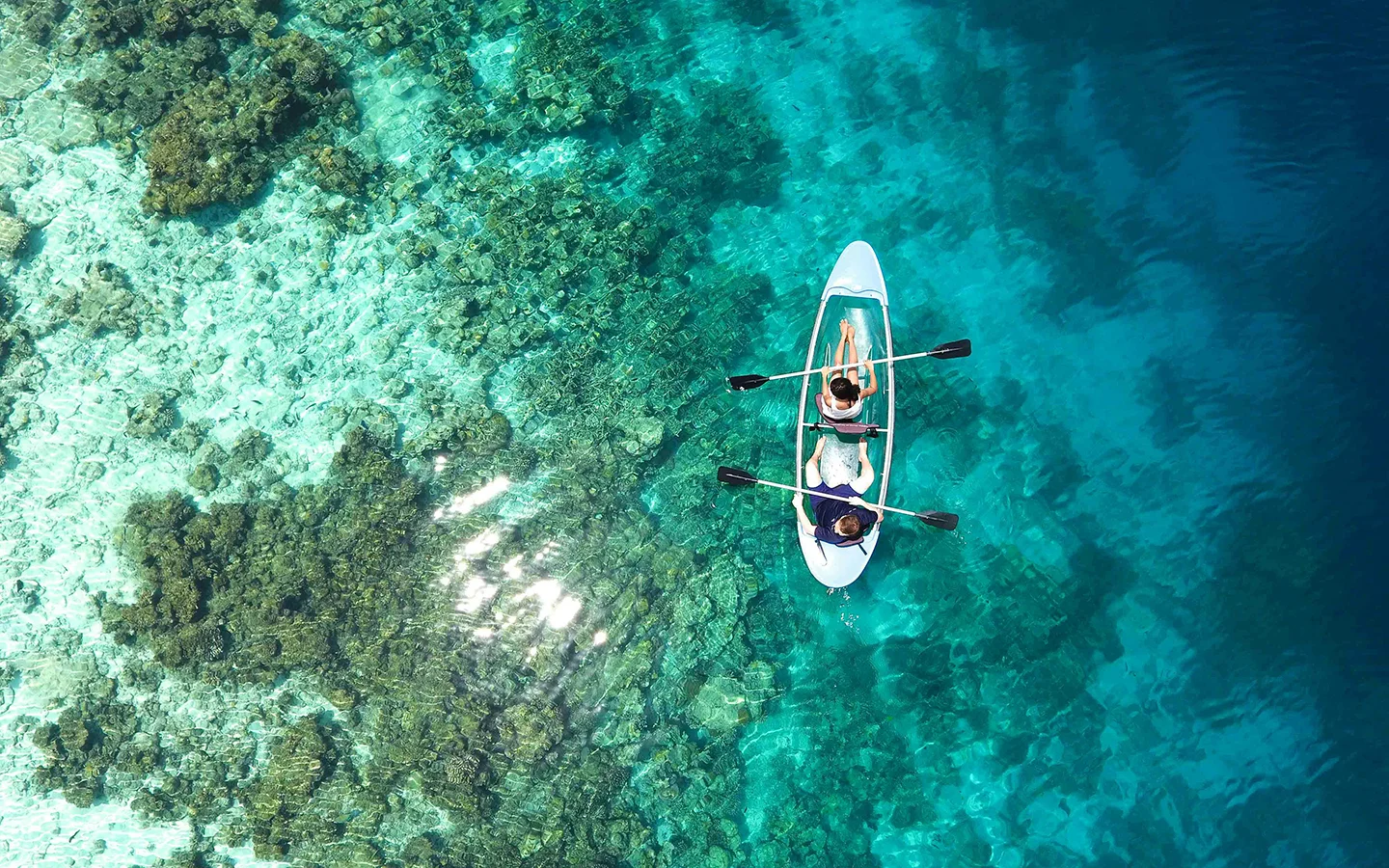 Couple faisant du kayak transparent sur un lagon