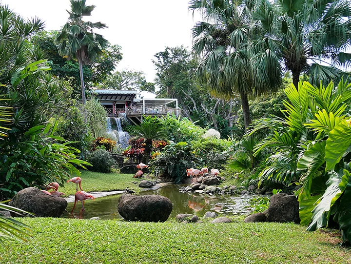Jardin de Deshaies, activité en Guadeloupe incontournable