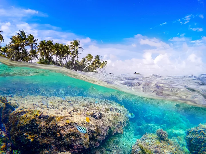 Vue semi-immergée de la plage de La Caravelle en Guadeloupe